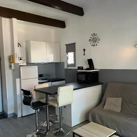 Apartment Superbe T2 Avec Piscine, Parking Prive Et Terrasse, Proche Du Village Naturiste Et Du Port - Fr-1-749-17 *