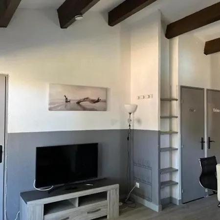 Apartment Superbe T2 Avec Piscine, Parking Prive Et Terrasse, Proche Du Village Naturiste Et Du Port - Fr-1-749-17