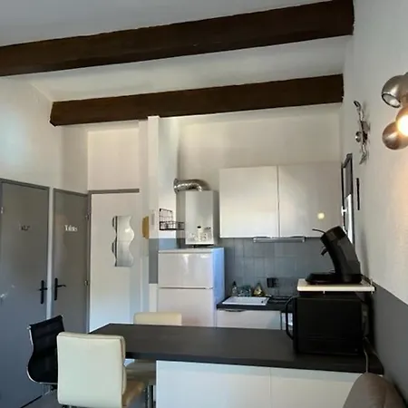 Superbe T2 Avec Piscine, Parking Prive Et Terrasse, Proche Du Village Naturiste Et Du Port - Fr-1-749-17 Agde