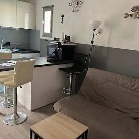 Superbe T2 Avec Piscine, Parking Prive Et Terrasse, Proche Du Village Naturiste Et Du Port - Fr-1-749-17